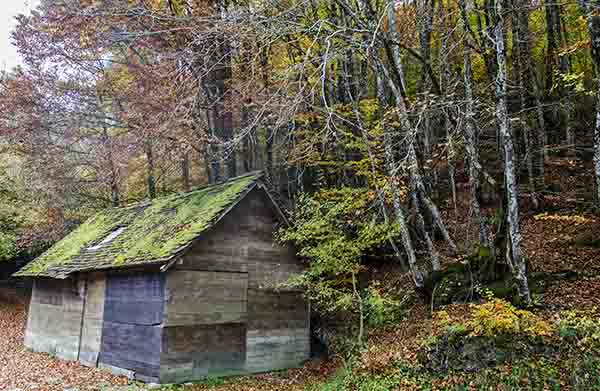 Reyno de Navarra - valle del Roncal 2.jpg